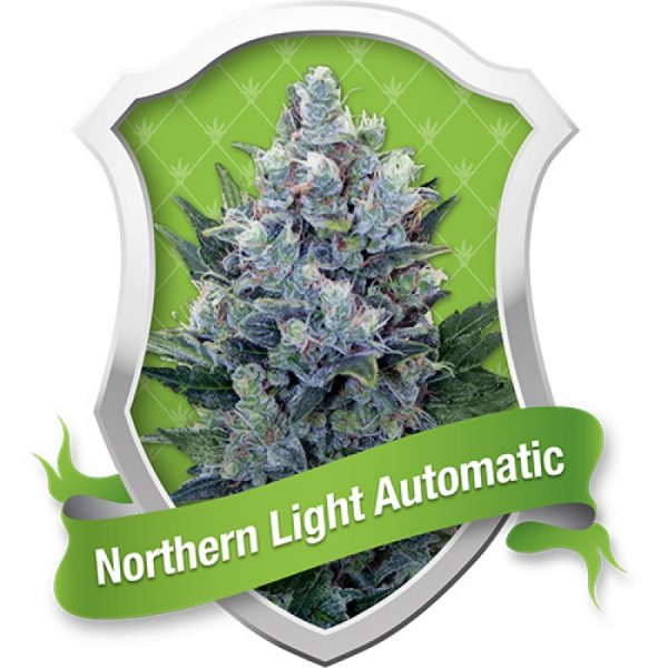 Northern Light Automatic
