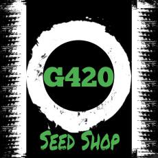 buy cannabis seeds in south africa
